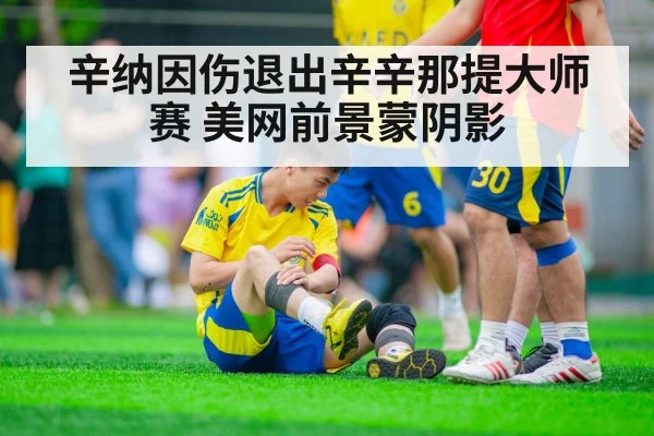 辛纳因伤退出辛辛那提大师赛 美网前景蒙阴影
